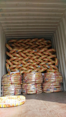 Super Rubber Motorcycle Tire 3.00-17 in with FOB Qingdao Delivery Methods